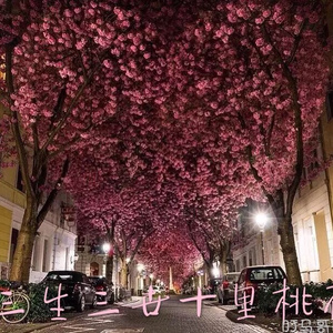 印度美女狂野性交
