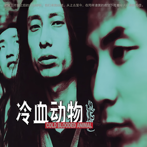 印度美女狂野性交
