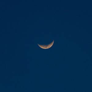 印度美女狂野性交
