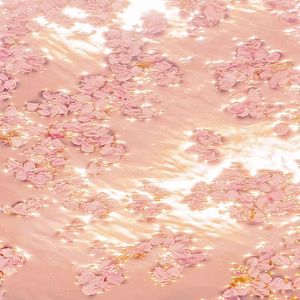 印度美女狂野性交
